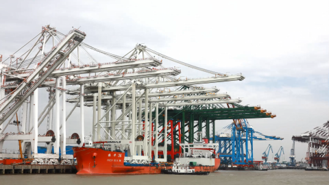 Zhen Hua 36