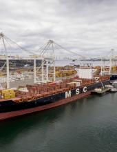 Two vessels calling Terminal 5 in Seattle